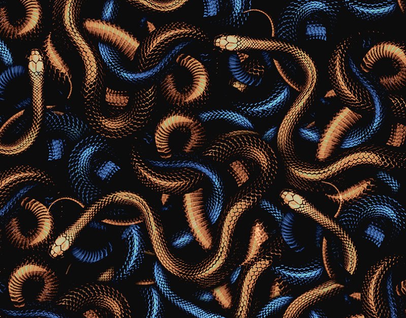 Паттерн змеи