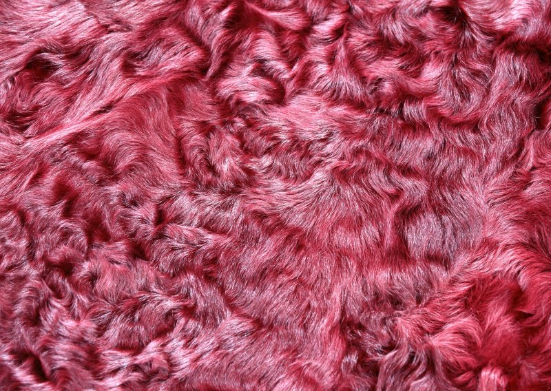 Текстура шерсти