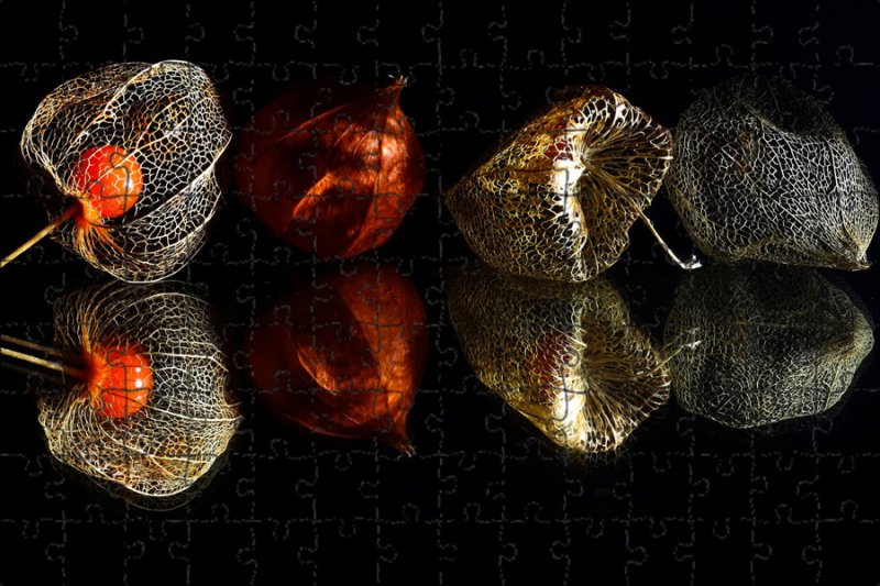 Физалис макрофото