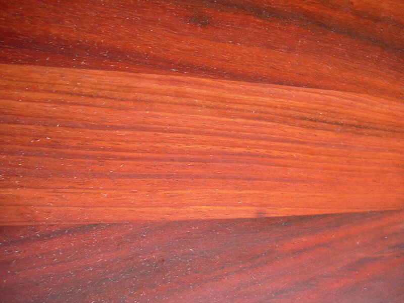 Малайский Падук