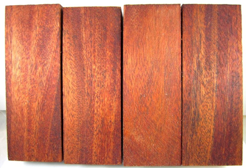 Красное дерево Падук