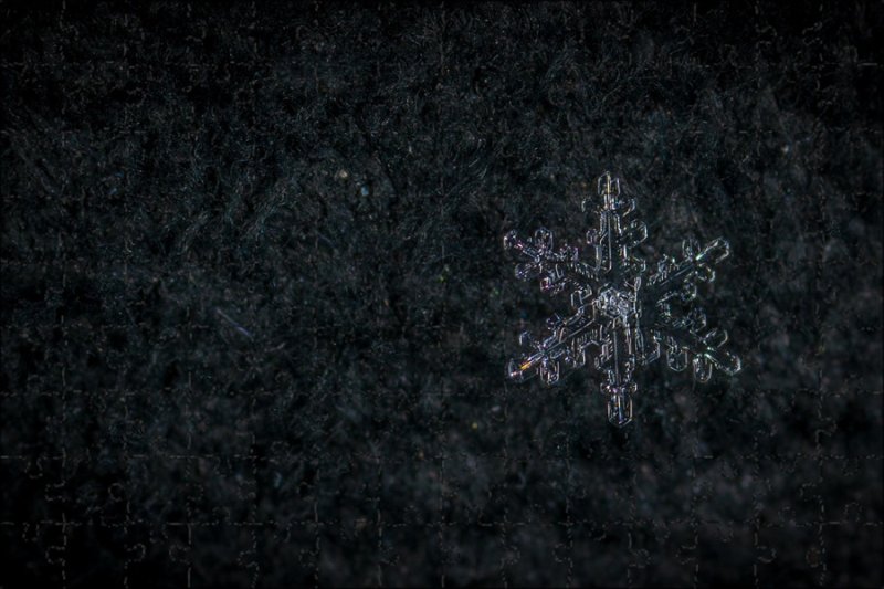 Черная Снежинка