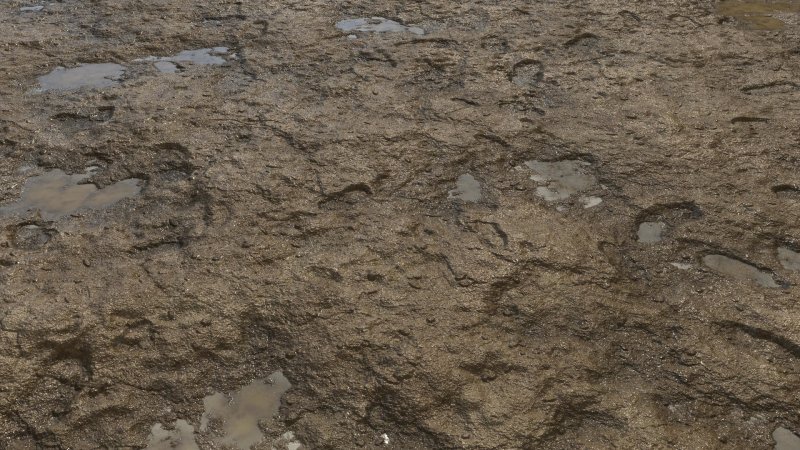 Текстура земли