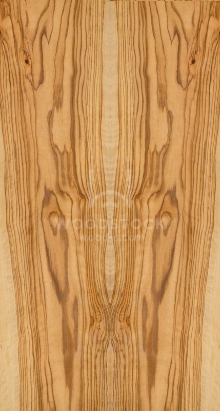 Шпон олива текстура