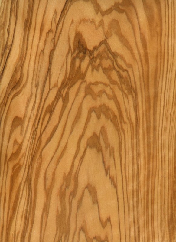 Шпон дерева