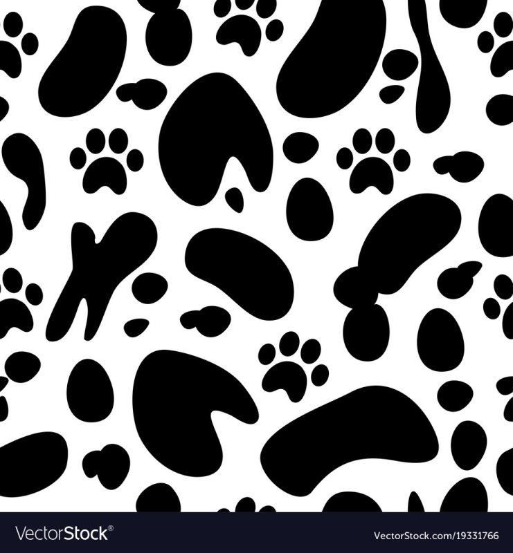 Пятна далматинца