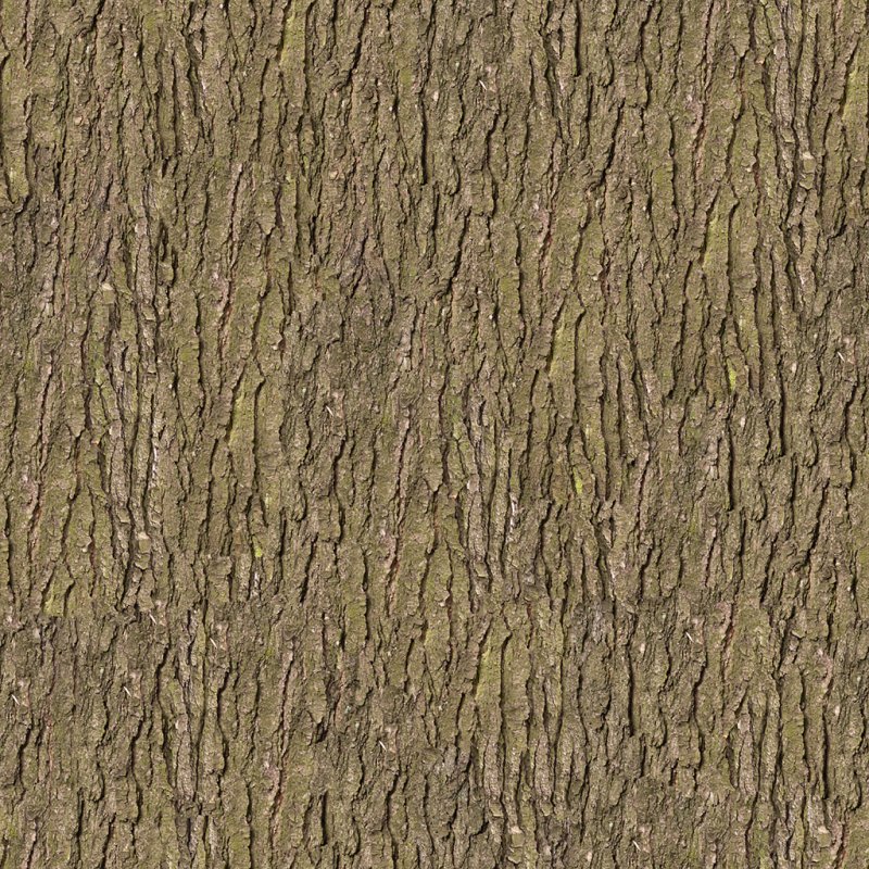 Текстура древесной коры