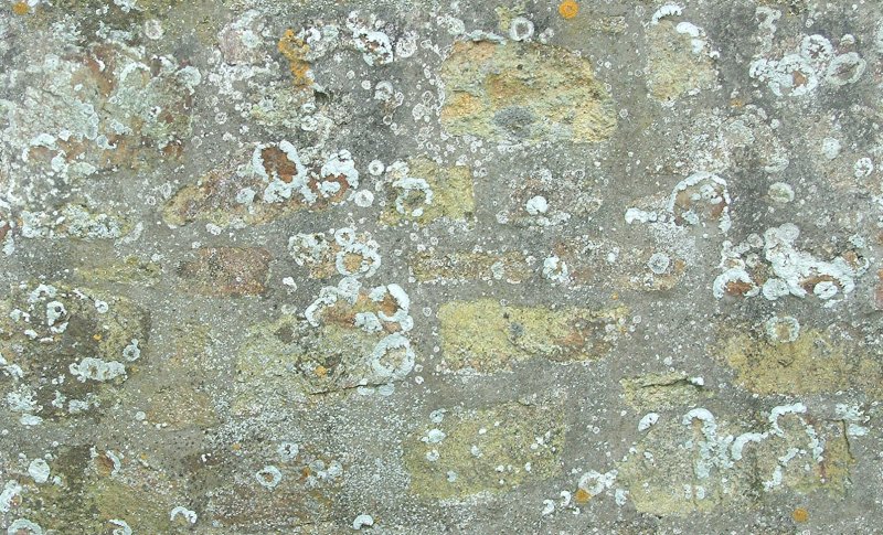 Текстура старого бетона