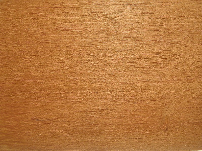 Текстура древесины бука