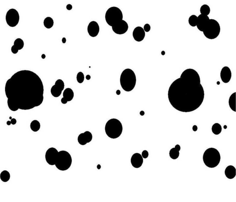 Пятна далматинца