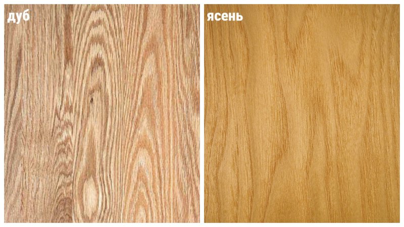 Ясень дуб бук лиственница сосна