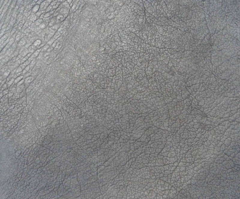 Текстура кожи