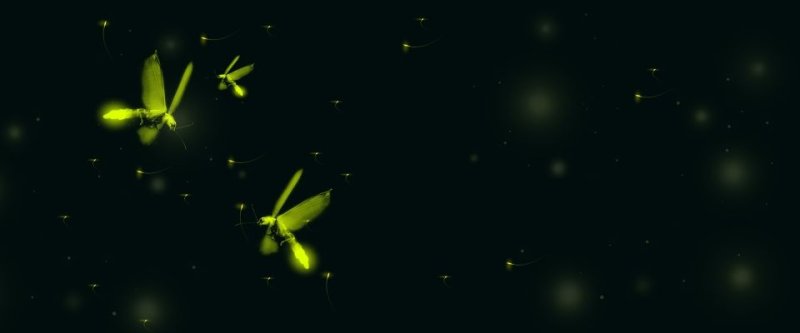 Светлячки текстура