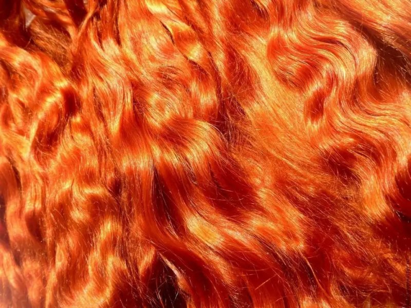 Рыжие волосы