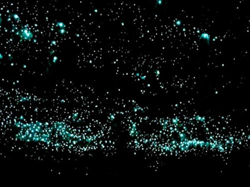 Пещеры светлячков Вайтомо