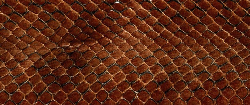 Змеиная чешуя Альфа