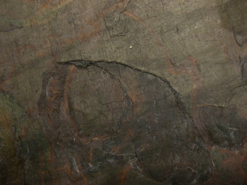 Хлоритовый сланец