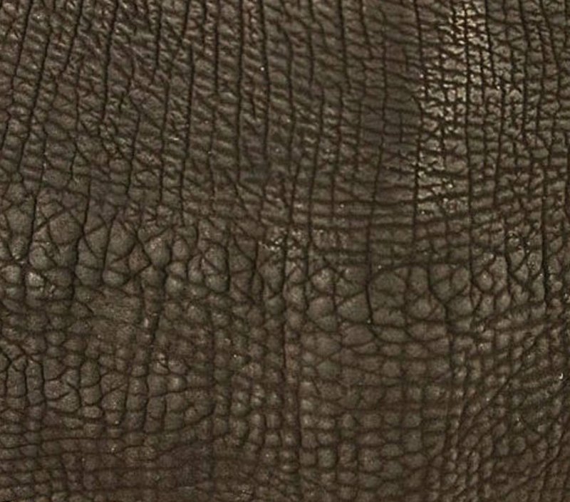 Акулья кожа