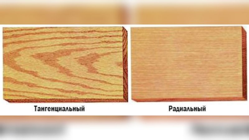 Шпон тангенс и Радиал