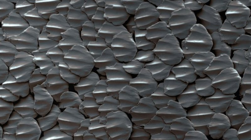 Чешуя акулы