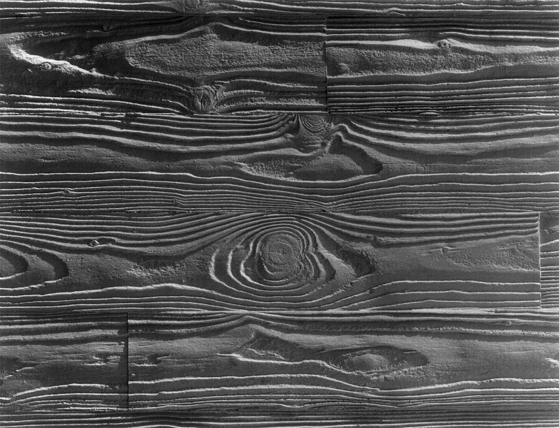 Текстура дерева