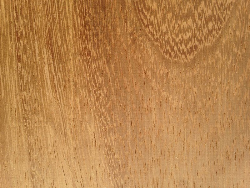 Дуб медовый Эггер