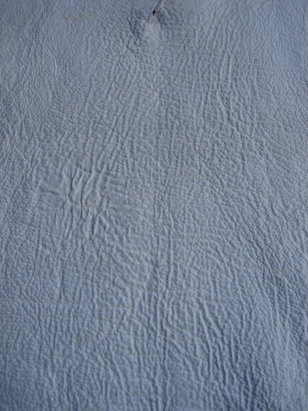 Кожа акулы текстура