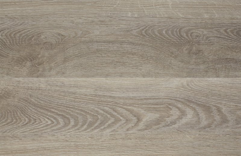 Дуб Веллингтон 370