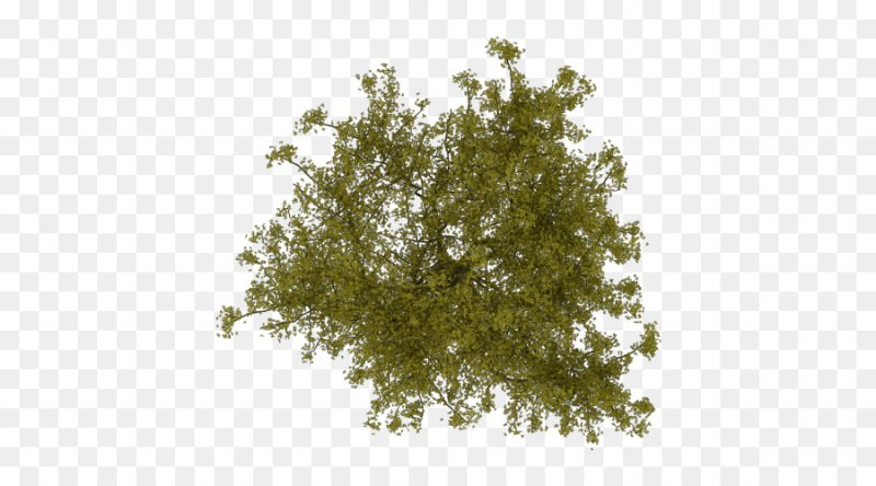 Деревья вид сверху архикад