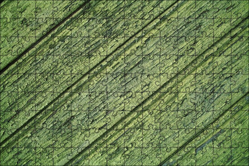 Текстура дерева