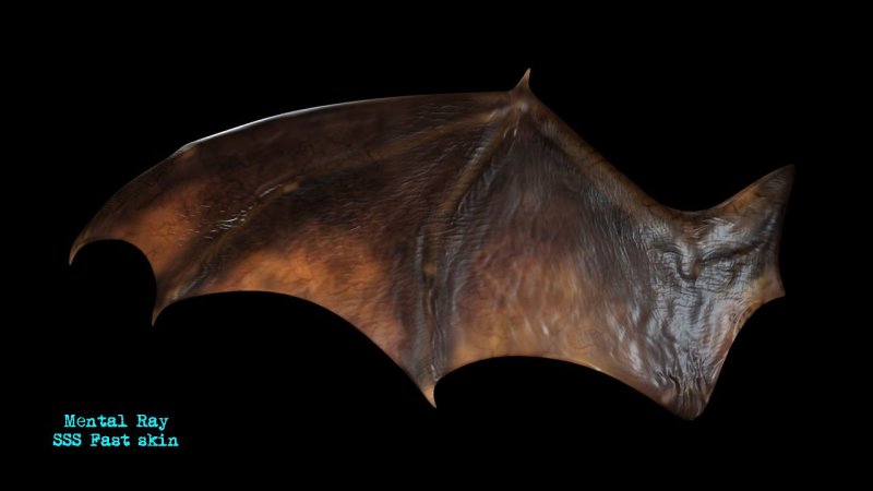 Крылья дракона збраш