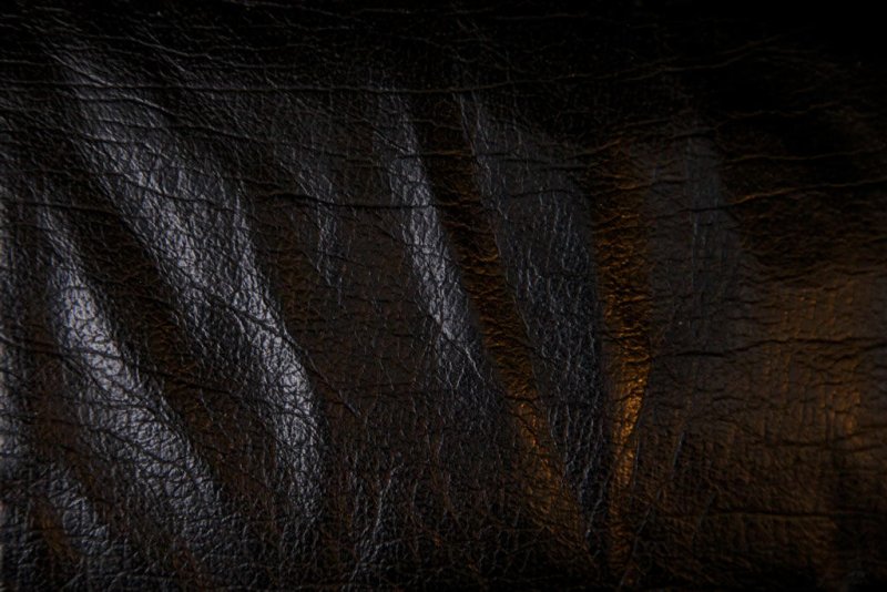 Текстура кожи