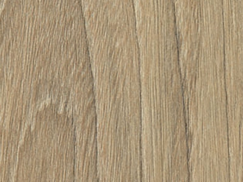 Вяз швейцарский u1114