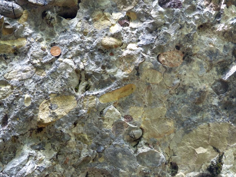 Конгломерат Горная порода