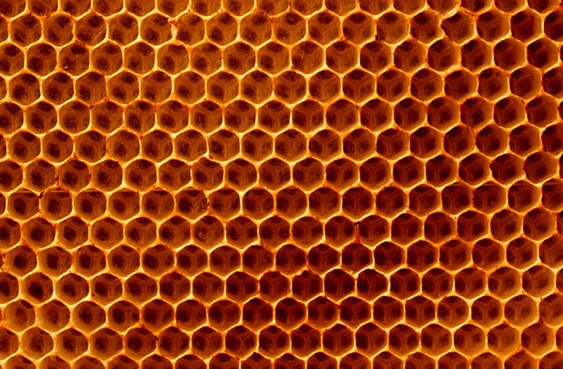 Медовые соты