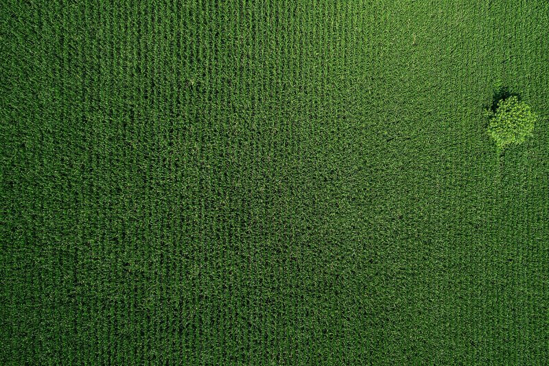 Ковролин текстура