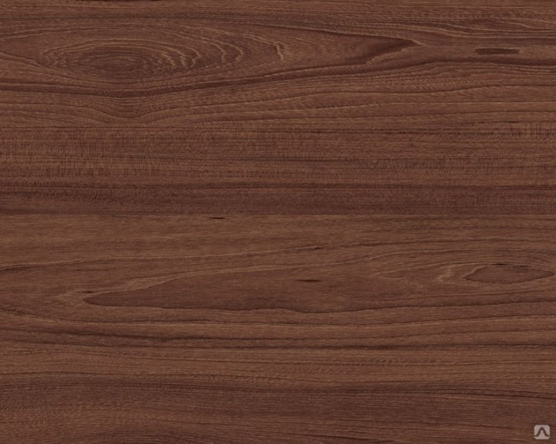 Вяз швейцарский u1114