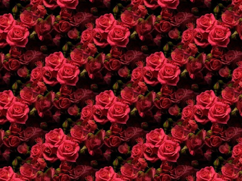 Мелкие цветы