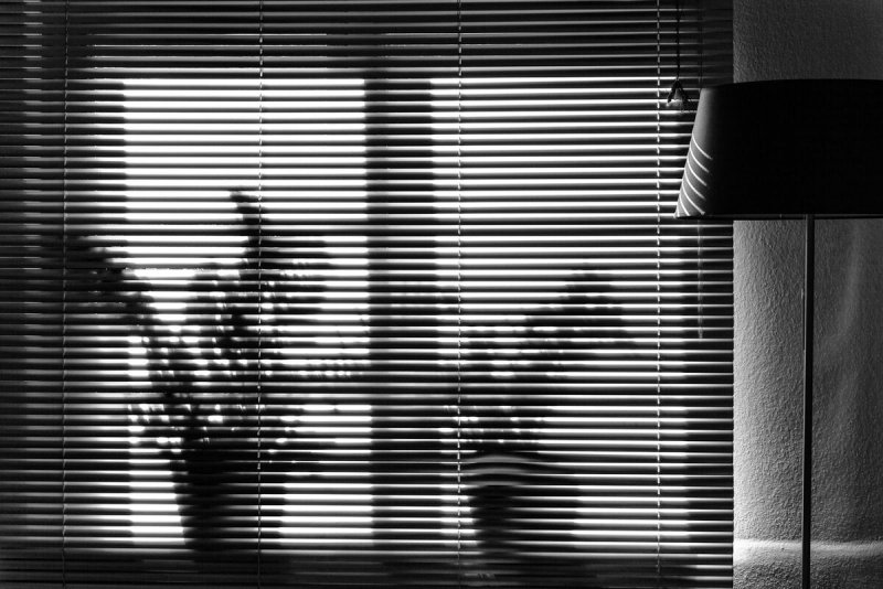 Черные жалюзи