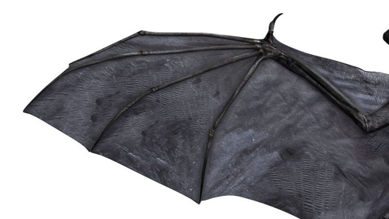 Крылья летучей мыши