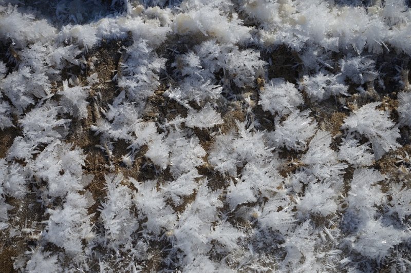 Снежные цветы на льду