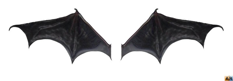 Крылья летучей мыши на белом фоне