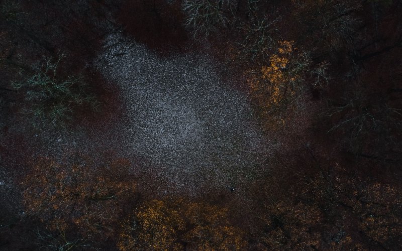 Поляна в лесу вид сверху