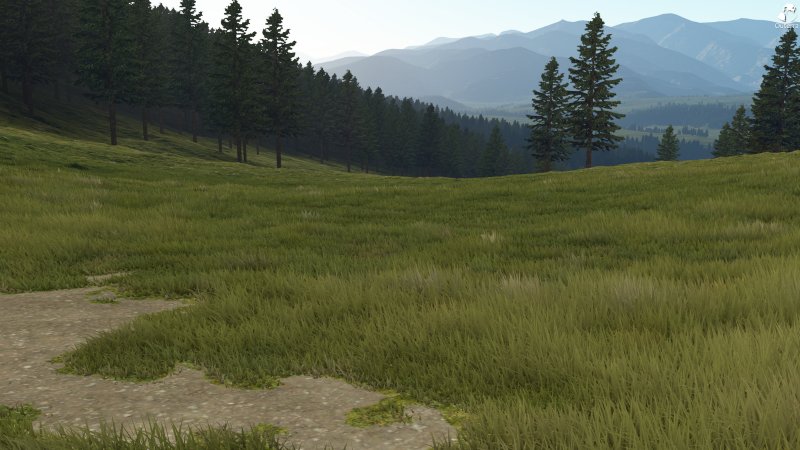 Лесная местность