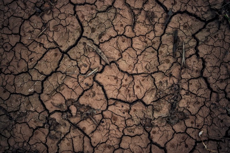 Почва текстура