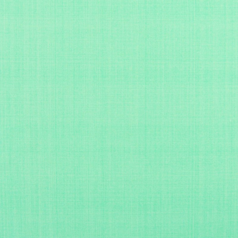 Мятно зеленый цвет