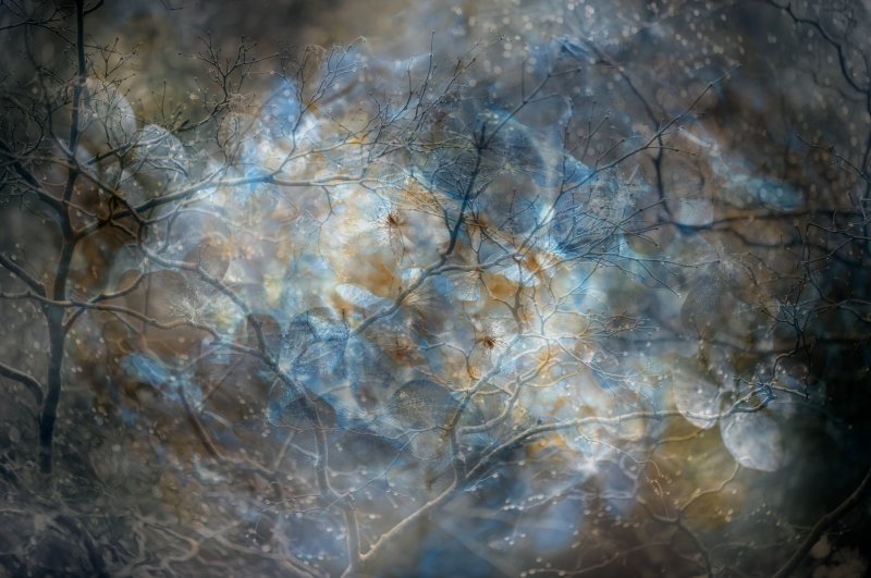 Живописные текстуры