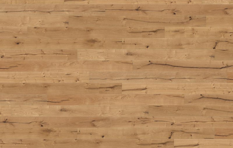 Дуб Вотан Скиф