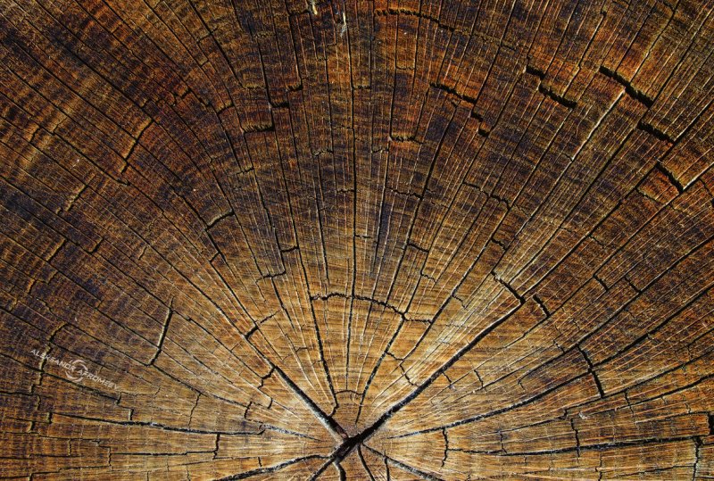 Природные текстуры