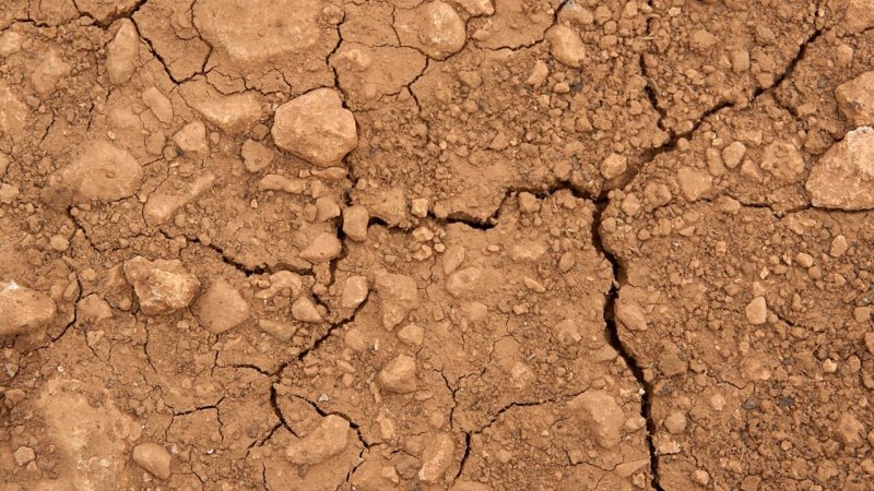 Текстура земли